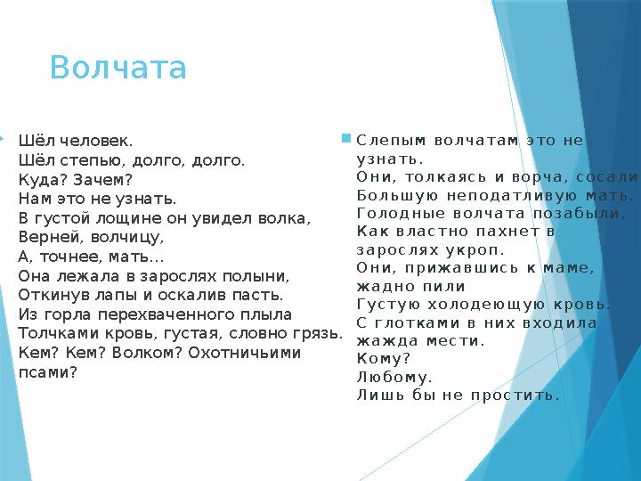 Волчата Шёл человек. Шёл степью, долго, долго. Куда? Зачем? Нам это не узнать. В густой лощине он увидел волк