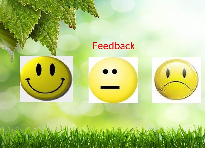 Feedback