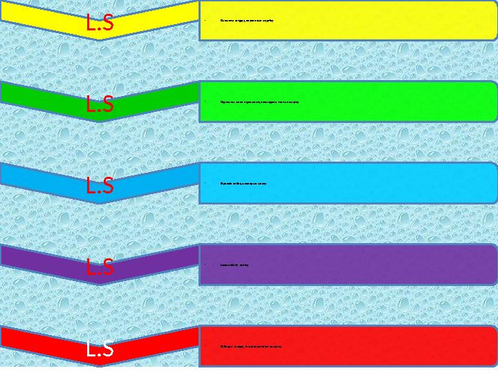 L.S • Сыныпты таңдау, сауалнама жүргізу L.S • Оқушыны және оқушының аясындағы топты анықтау L.S • Бірлесіп сабақ жоспарын жасау