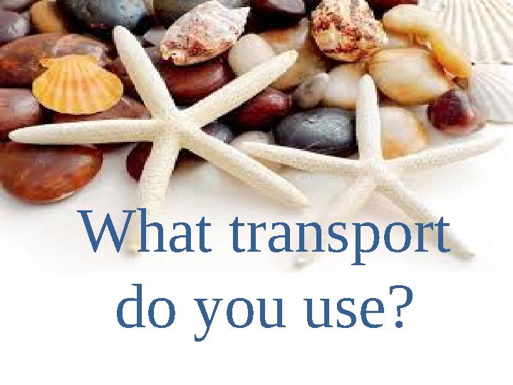 What transport do you use?