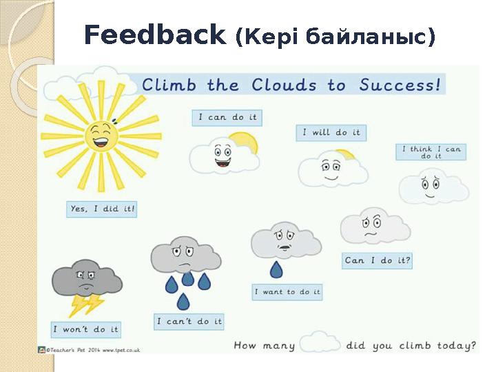 Feedback (Кері байланыс)