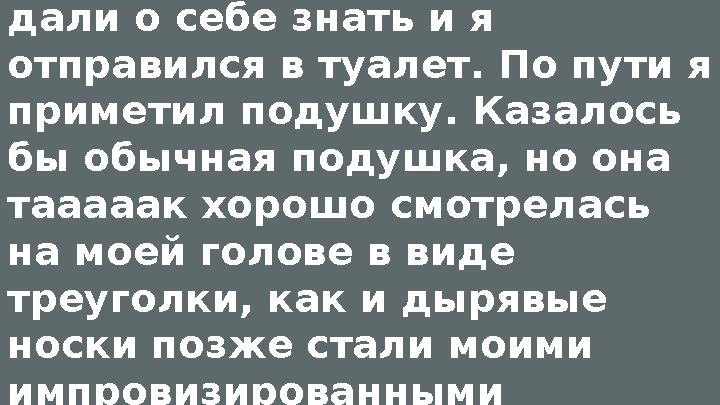 Пару литров выпитого чая дали о себе знать и я отправился в туалет. По пути я приметил подушку. Казалось бы обычная подушка,