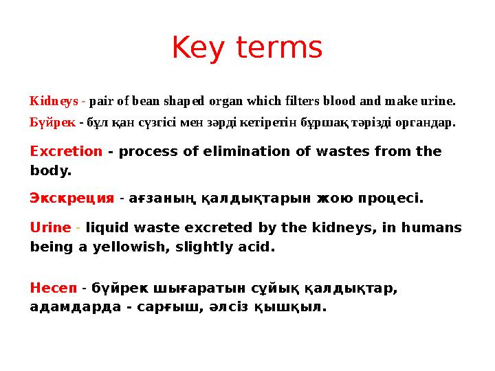 Key terms Kidneys - pair of bean shaped organ which filters blood and make urine. Бүйрек - бұл қан сүзгісі мен зәрді кетіретін б