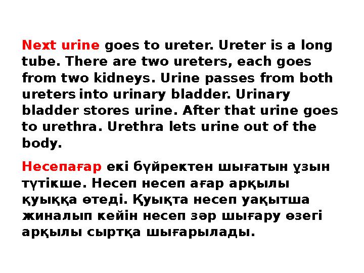 Next urine goes to ureter. Ureter is a long tube. There are two ureters, each goes from two kidneys. Urine passes from both u