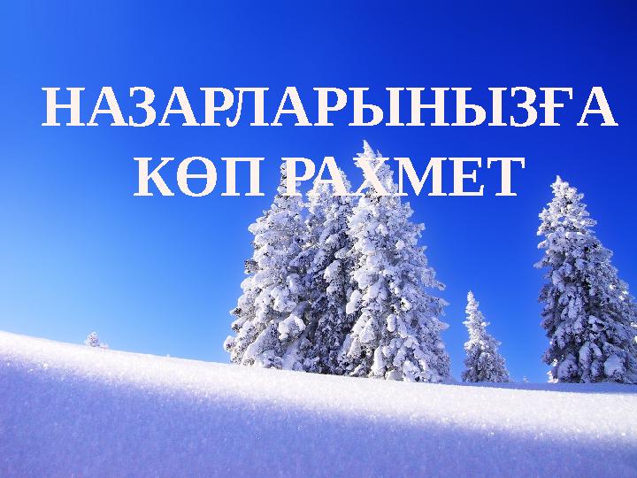 НАЗАРЛАРЫНЫЗ ҒА КӨП РАХМЕТ