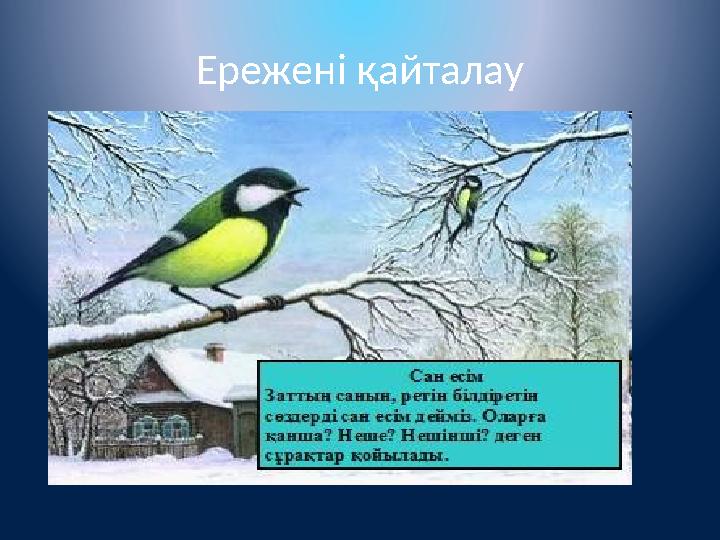 Ережені қайталау Ережені қайталау