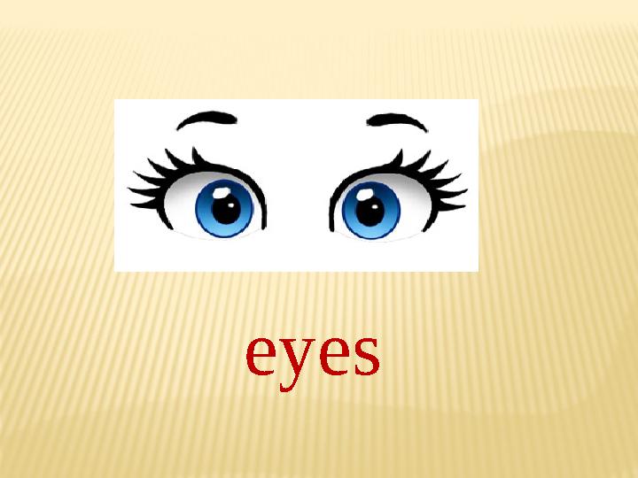 eyes
