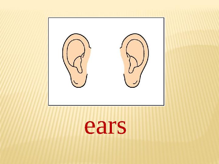 ears