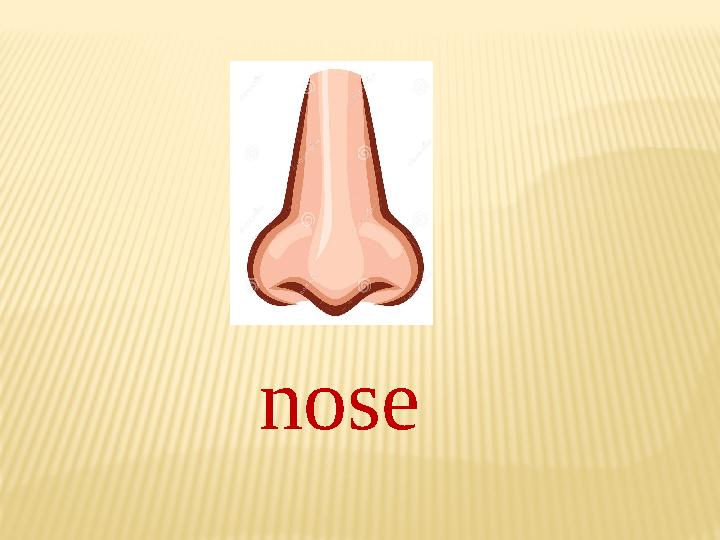 nose