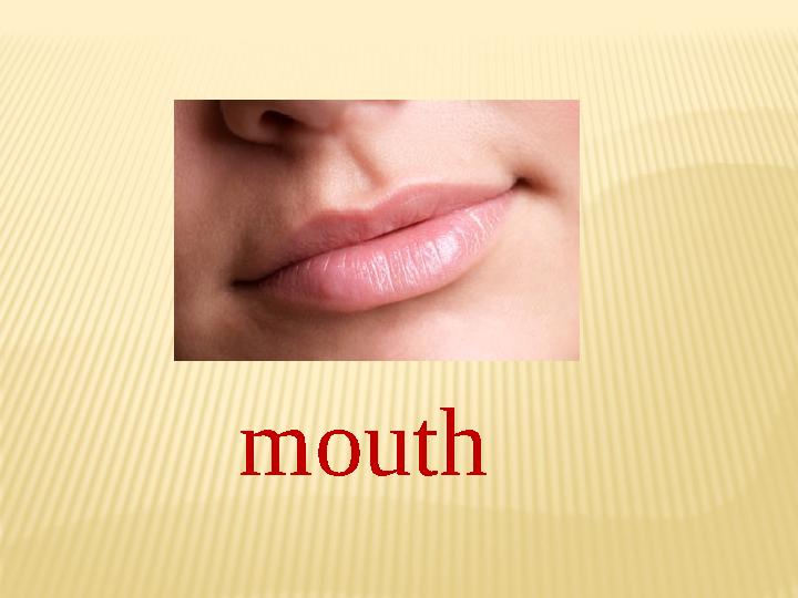 mouth