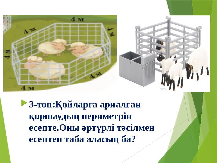 3-топ:Қойларға арналған қоршаудың периметрін есепте.Оны әртүрлі тәсілмен есептеп таба аласың ба?