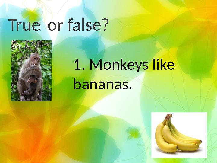 True or false? 1. Monkeys like bananas.