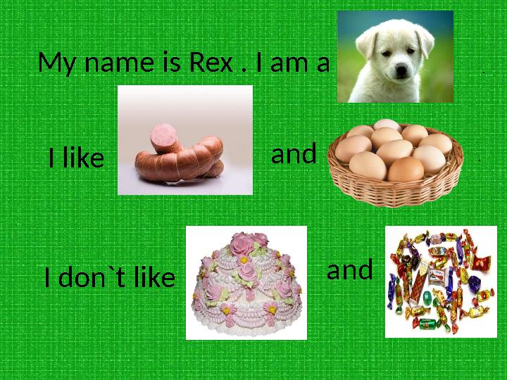 My name is Rex . I am a . I like and . I don`t like and