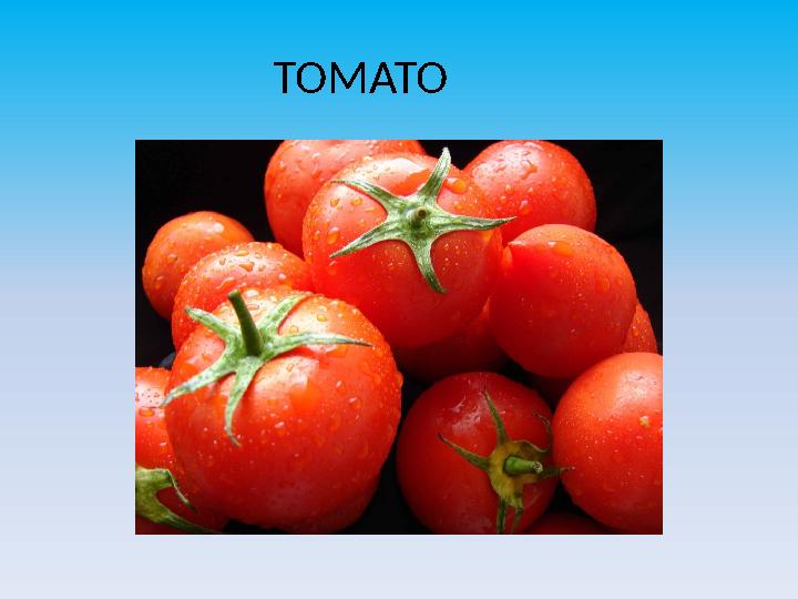 TOMATO
