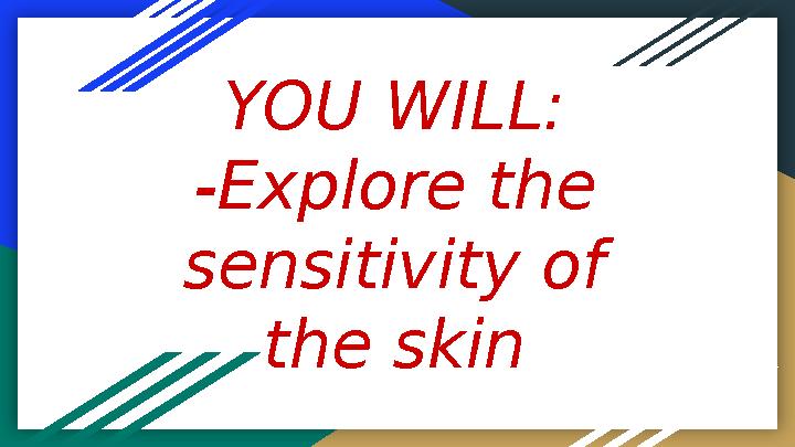 YOU WILL: -Explore the sensitivity of the skin