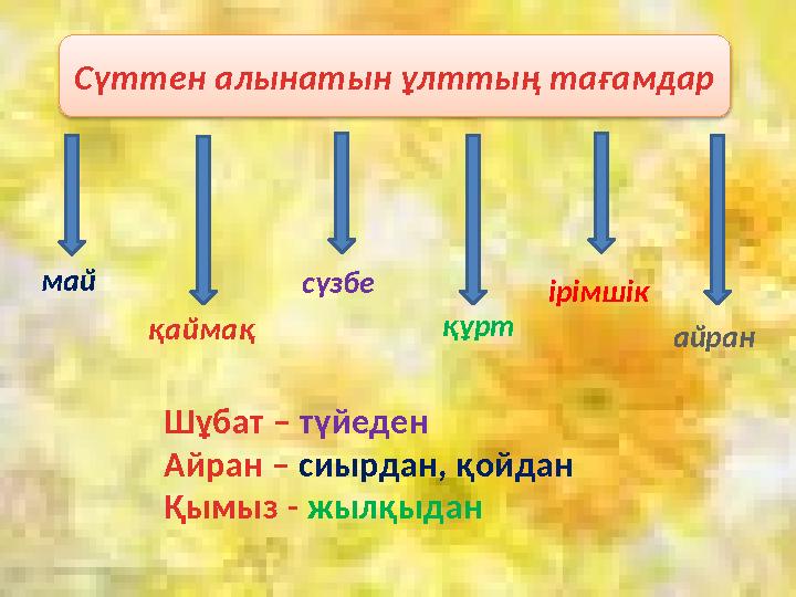Сүттен алынатын ұлттың тағамдар май қаймақ сүзбе құрт ірімшік айран Шұбат – түйеден Айран – сиырдан, қойдан Қымыз - жылқыда