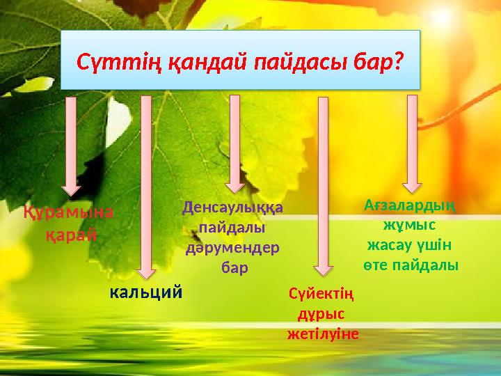 Сүттің қандай пайдасы бар? Құрамына қарай кальций Денсаулыққа пайдалы дәрумендер бар Сүйектің дұрыс жетілуіне Ағзала