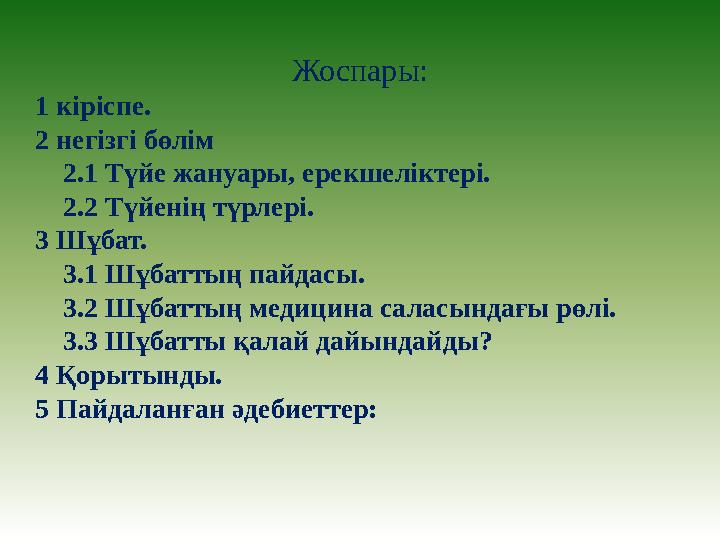Жоспары: 1 кіріспе. 2 негізгі бөлім 2.1 Түйе жануары, ерекшеліктері. 2.2 Түйенің түрлері. 3 Шұбат. 3.1 Шұбаттың пай