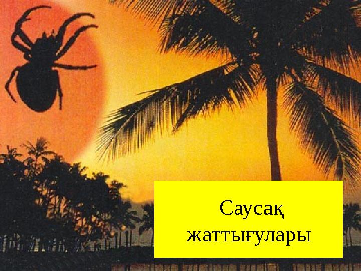 Саусақ жаттығулары