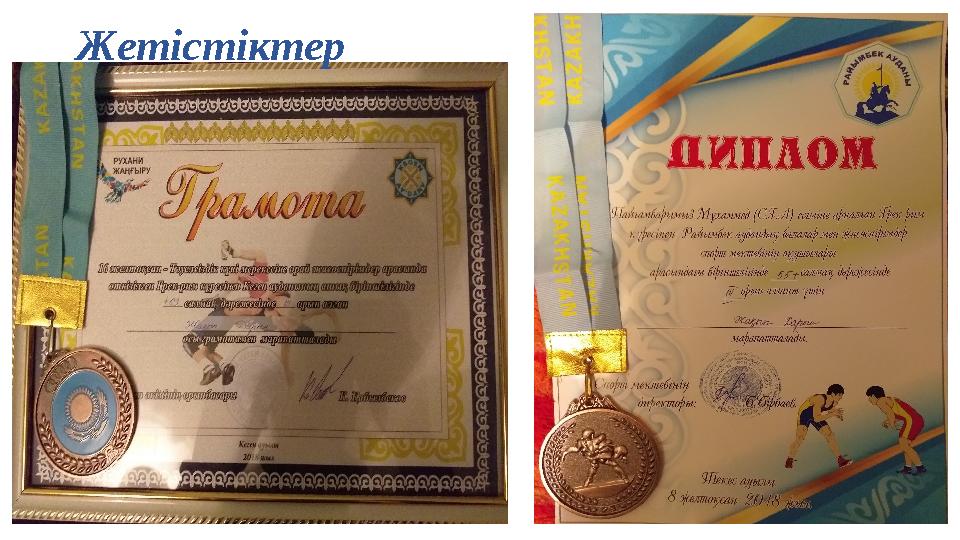 Жетістіктер