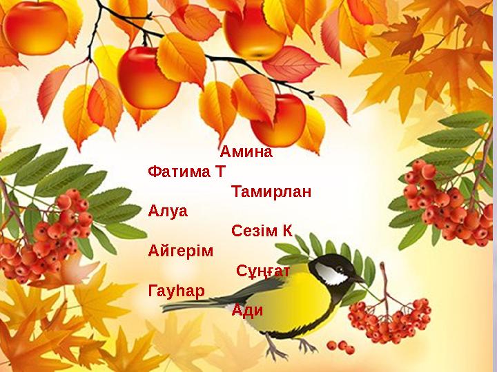 Амина Фатима Т Тамирлан Алуа