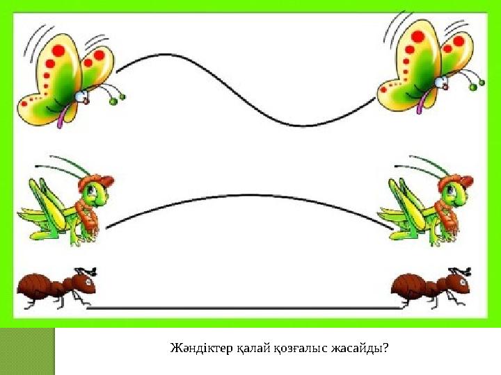 Жәндіктер қалай қозғалыс жасайды?