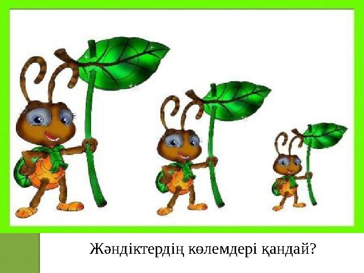 Жәндіктердің көлемдері қандай?