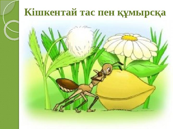 Кішкентай тас пен құмырсқа