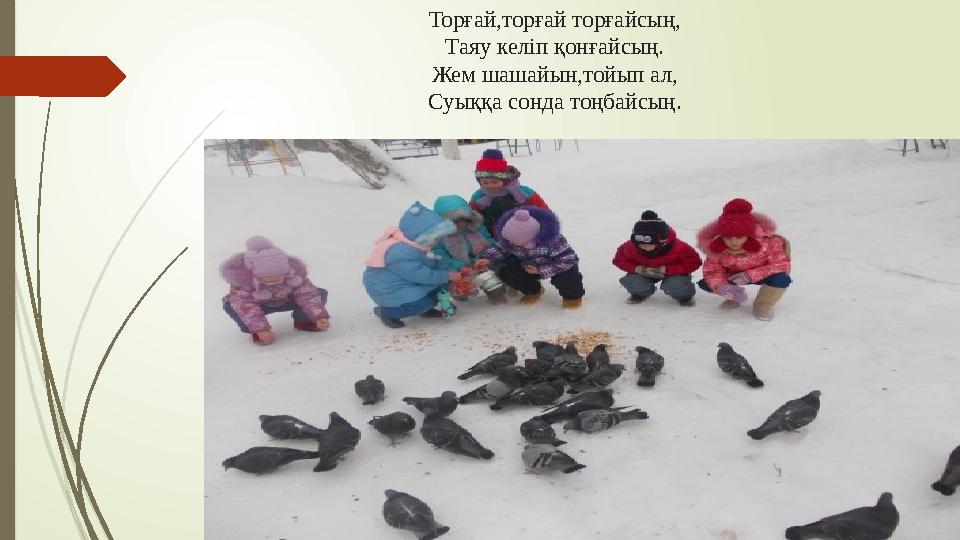 Торғай,торғай торғайсың, Таяу келіп қонғайсың. Жем шашайын,тойып ал, Суыққа сонда тоңбайсың.
