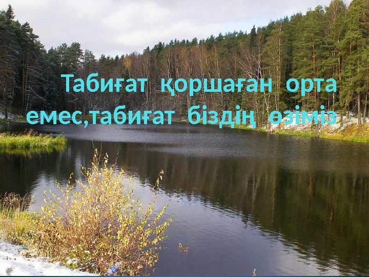 Қыздардың емізіктері туралы бейне