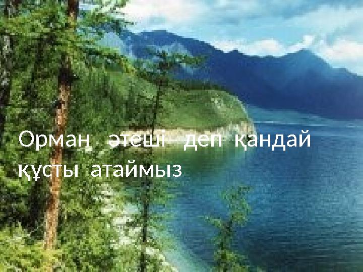 Орман әтеші деп қандай құсты атаймыз