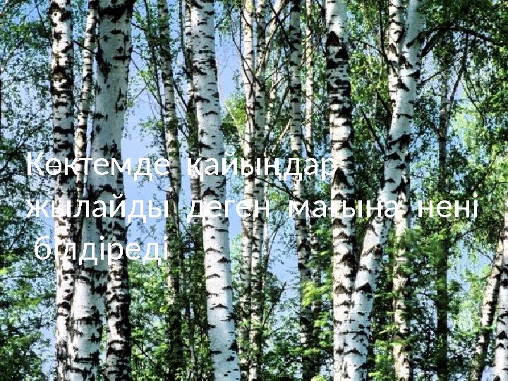 Көктемде қайыңдар жылайды деген мағына нені білдіреді