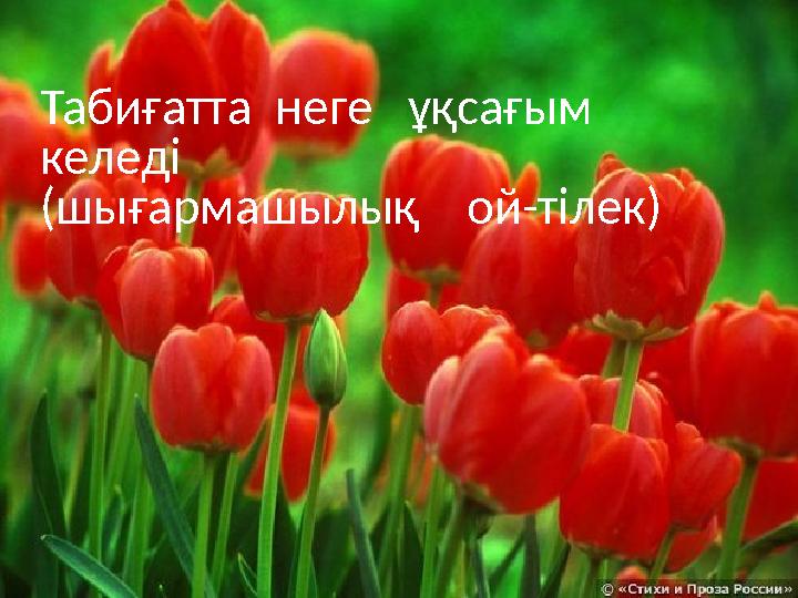 Табиғатта неге ұқсағым келеді (шығармашылық ой-тілек)