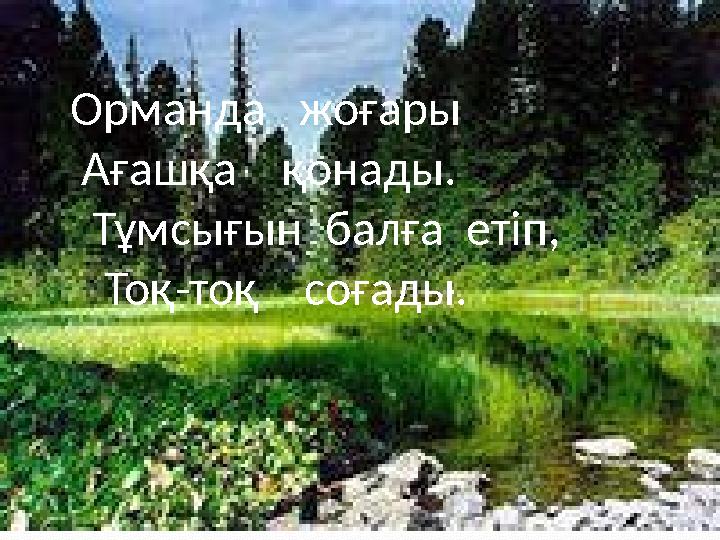 Орманда жоғары Ағашқа қонады. Тұмсығын балға етіп, Тоқ-тоқ соғады.