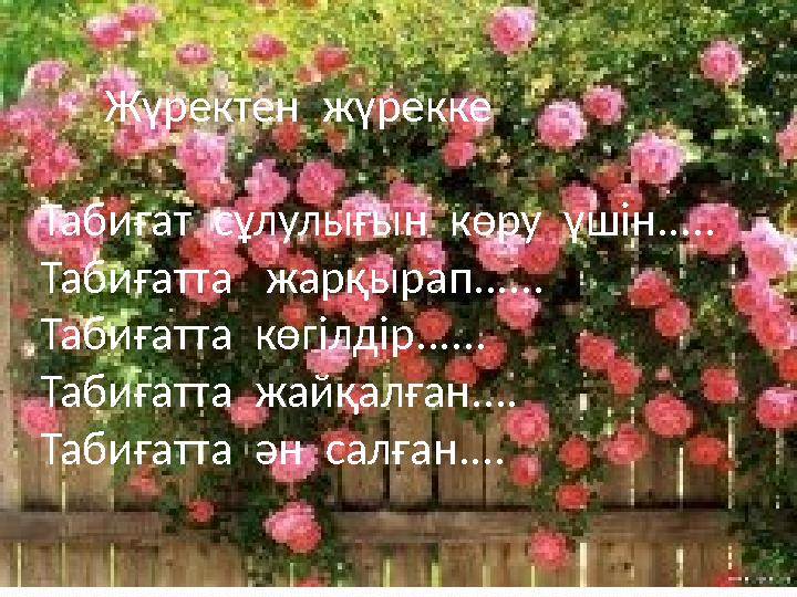 Жүректен жүрекке Табиғат сұлулығын көру үшін..... Табиғатта жарқырап...... Табиғатта көгілдір...... Табиғатта жайқа