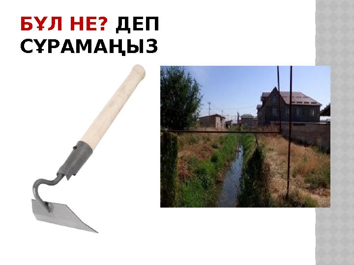 БҰЛ НЕ? ДЕП СҰРАМАҢЫЗ