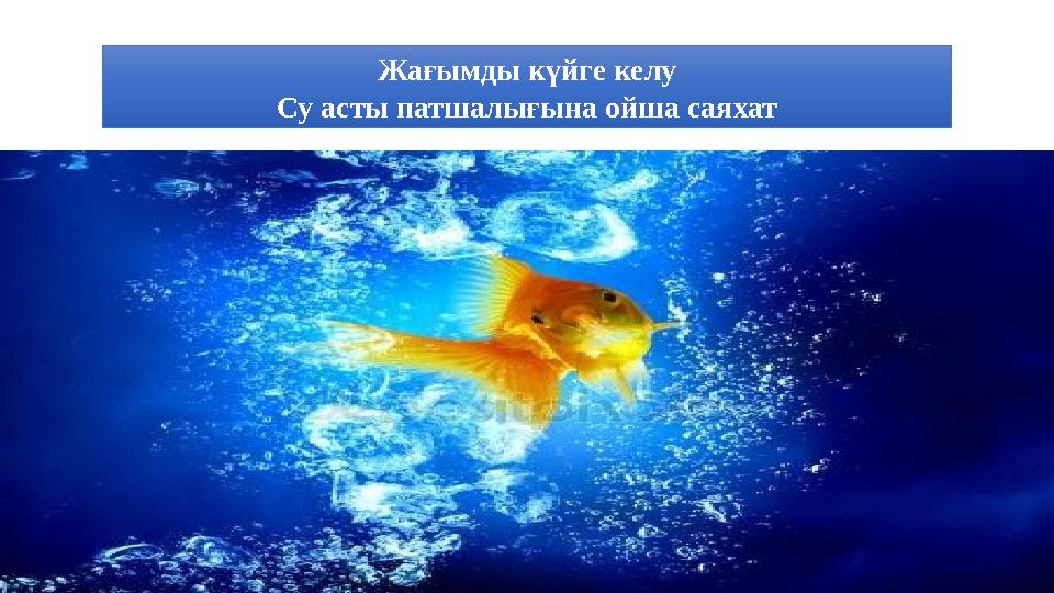 Жағымды күйге келу Су асты патшалығына ойша саяхат