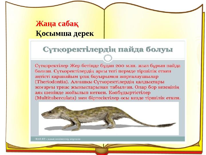 Жаңа сабақ Қосымша дерек