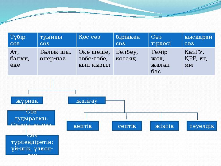 Түбір сөз туынды сөз Қос сөз біріккен сөз Сөз тіркесі қысқаран сөз Ат, балық, әке Балық-шы, өнер-паз Әке-шеше, төбе