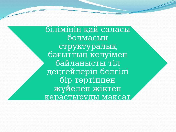 Дәстүрлі тіл білімінің қай саласы болмасын структуралық бағыттың келуімен байланысты тіл деңгейлерін белгілі бір тәртіппе