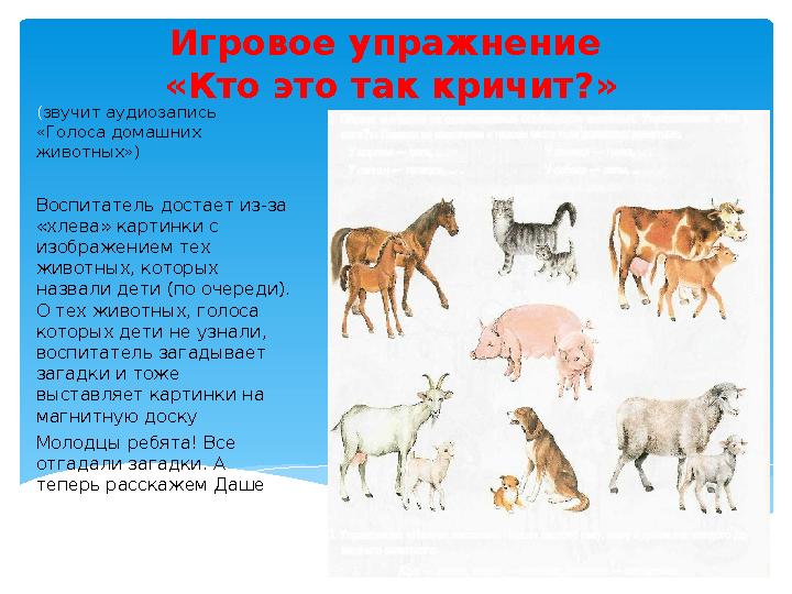 (звучит аудиозапись «Голоса домашних животных») Воспитатель достает из-за «хлева» картинки с изображением тех животных, к