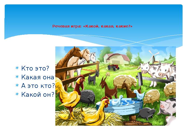 Речевая игра: «Какой, какая, какие?» Кто это? Какая она? А это кто? Какой он?