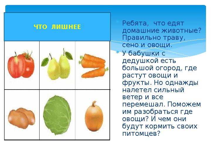  Ребята, что едят домашние животные? Правильно траву, сено и овощи.  У бабушки с дедушкой есть большой огород, где р