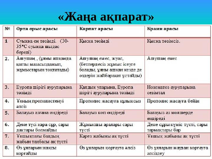 «Жаңа ақпарат»