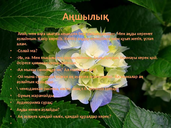 Аңшылық •-Ағай, мен аңға шығуға кешеден бері дайындалдым. Мен аңды керемет аулаймын. Қазір көресіз. Кейбір аңдар жеткізбесе өзі