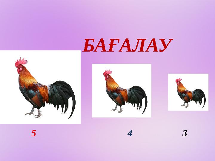 БАҒАЛАУ 5 4 3