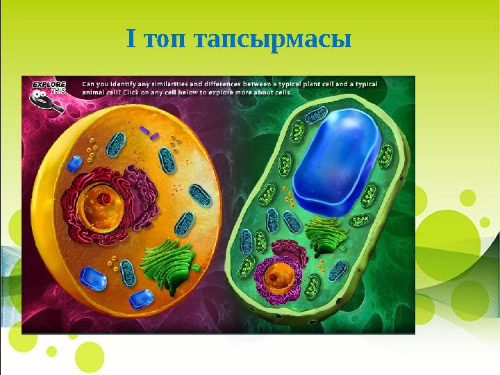 І топ тапсырмасы