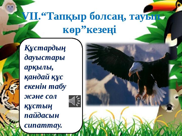 VІІ.“Тапқыр болсаң, тауып көр”кезеңі Құстардың дауыстары арқылы, қандай құс екенін табу және сол құстың пайдасын сипа