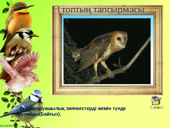 Ауылшаруашылық зиянкестерді жемін түнде аулайды(Байғыз). (.wav) І топтың тапсырмасы