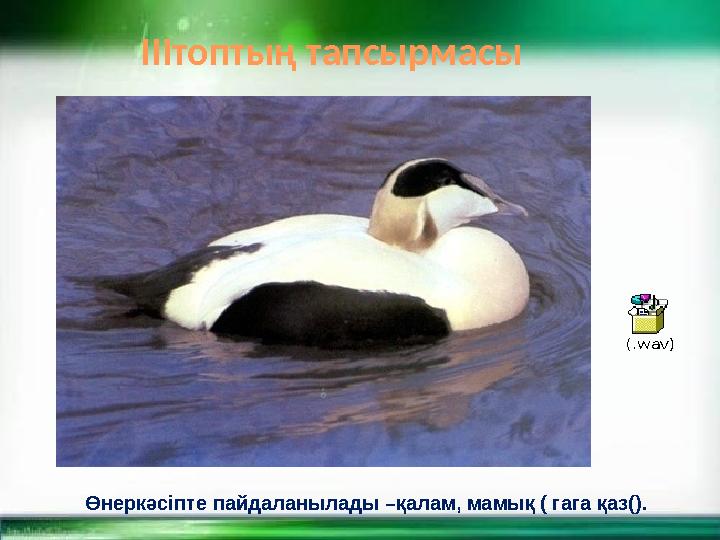 Өнеркәсіпте пайдаланылады –қалам, мамық ( гага қаз(). (.wav) ІІІтоптың тапсырмасы